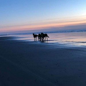 Meet your Posher, Kaylene